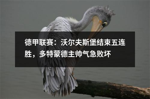 德甲联赛：沃尔夫斯堡结束五连胜，多特蒙德主帅气急败坏