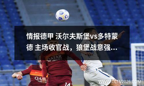 情报德甲 沃尔夫斯堡vs多特蒙德 主场收官战，狼堡战意强！