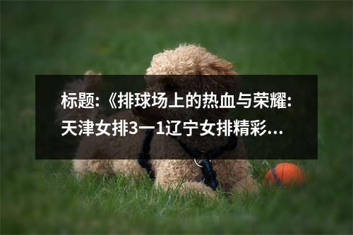 标题:《排球场上的热血与荣耀:天津女排3一1辽宁女排精彩回顾