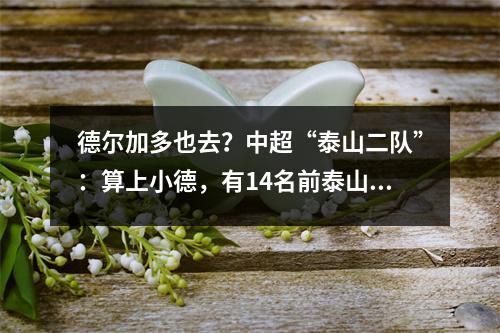 德尔加多也去？中超“泰山二队”：算上小德，有14名前泰山球员