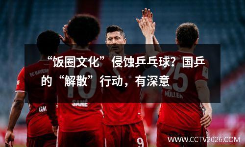 “饭圈文化”侵蚀乒乓球？国乒的“解散”行动，有深意