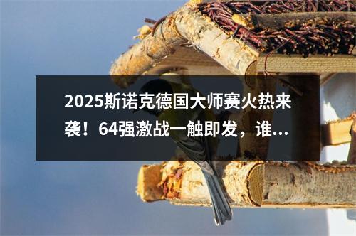 2025斯诺克德国大师赛火热来袭！64强激战一触即发，谁能突围？