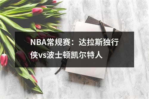 NBA常规赛：达拉斯独行侠vs波士顿凯尔特人