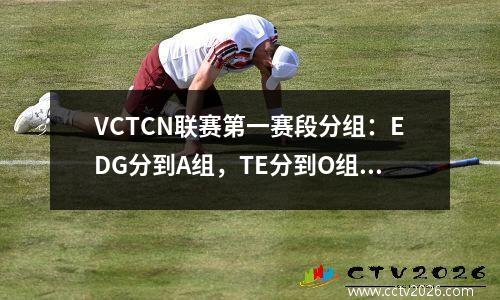 VCTCN联赛第一赛段分组：EDG分到A组，TE分到O组