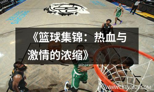 《篮球集锦：热血与激情的浓缩》