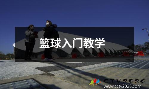 篮球入门教学