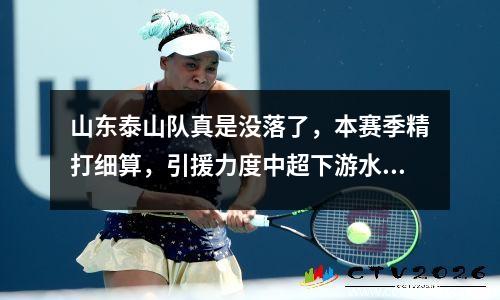 山东泰山队真是没落了，本赛季精打细算，引援力度中超下游水平