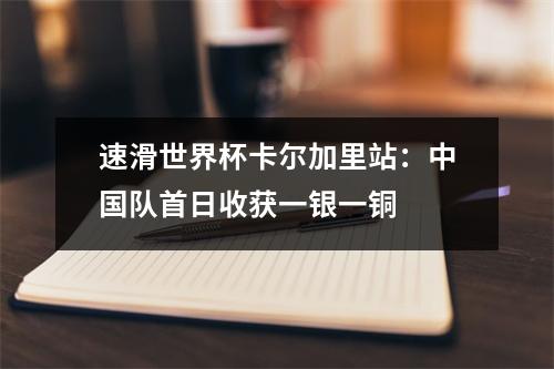 速滑世界杯卡尔加里站：中国队首日收获一银一铜