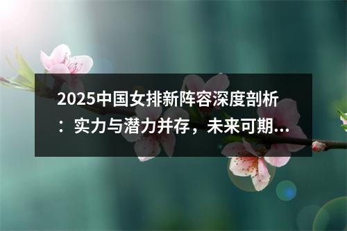 2025中国女排新阵容深度剖析：实力与潜力并存，未来可期！