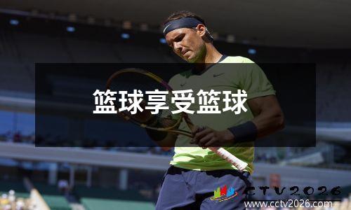 篮球享受篮球