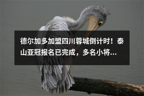 德尔加多加盟四川蓉城倒计时！泰山亚冠报名已完成，多名小将在列
