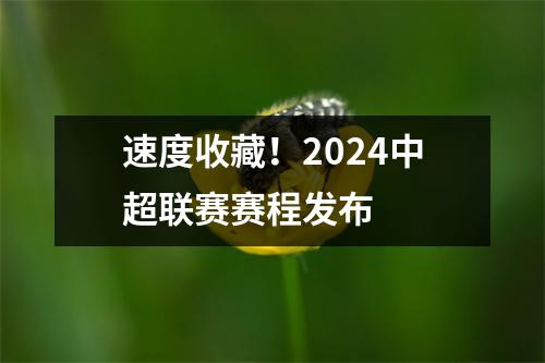 速度收藏！2024中超联赛赛程发布