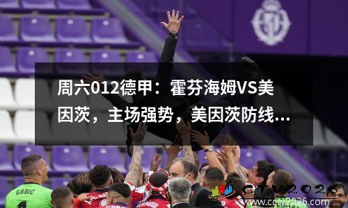 周六012德甲：霍芬海姆VS美因茨，主场强势，美因茨防线告急