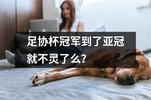 足协杯冠军到了亚冠就不灵了么？