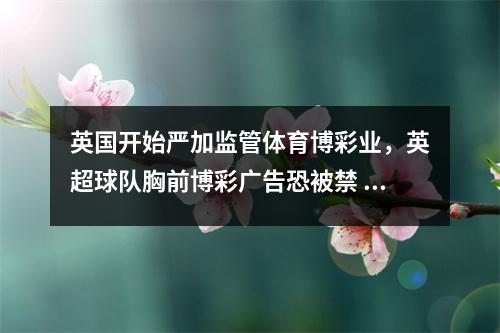 英国开始严加监管体育博彩业，英超球队胸前博彩广告恐被禁