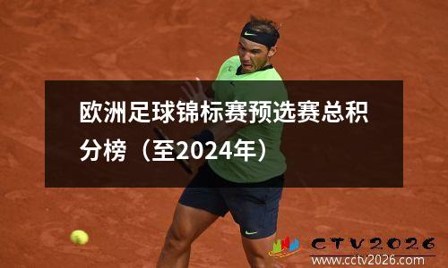 欧洲足球锦标赛预选赛总积分榜（至2024年）