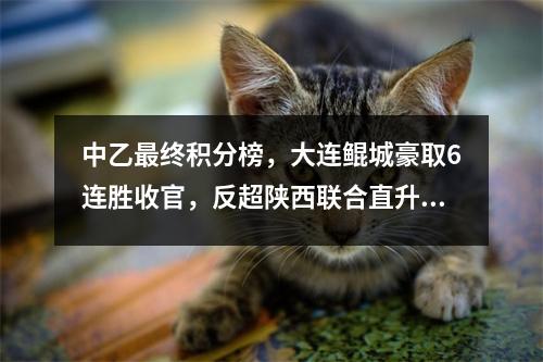 中乙最终积分榜，大连鲲城豪取6连胜收官，反超陕西联合直升中甲