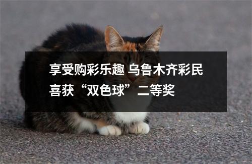 享受购彩乐趣 乌鲁木齐彩民喜获“双色球”二等奖