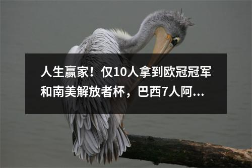 人生赢家！仅10人拿到欧冠冠军和南美解放者杯，巴西7人阿根廷3人