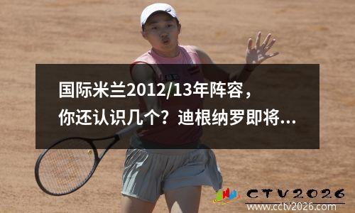 国际米兰2012/13年阵容，你还认识几个？迪根纳罗即将回归