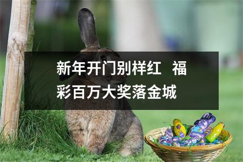 新年开门别样红   福彩百万大奖落金城