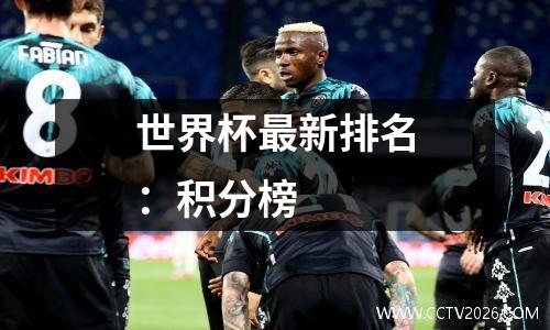 世界杯最新排名：积分榜