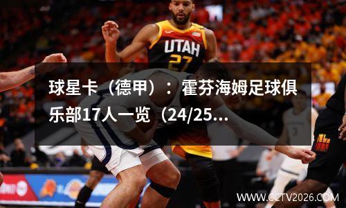 球星卡（德甲）：霍芬海姆足球俱乐部17人一览（24/25赛季）