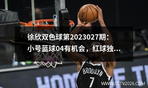 徐欣双色球第2023027期：小号蓝球04有机会，红球独胆看好06