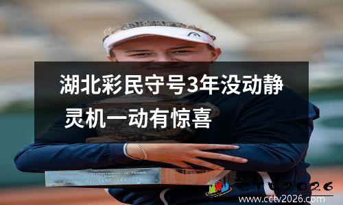 湖北彩民守号3年没动静 灵机一动有惊喜