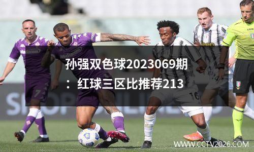 孙强双色球2023069期：红球三区比推荐213