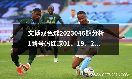 文博双色球2023046期分析1路号码红球01、19、25是重点