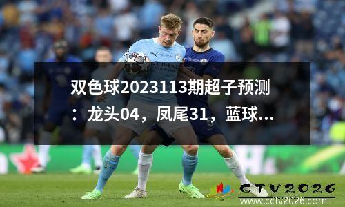双色球2023113期超子预测：龙头04，凤尾31，蓝球04