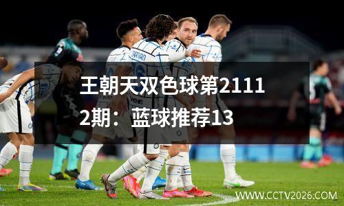 王朝天双色球第21112期：蓝球推荐13