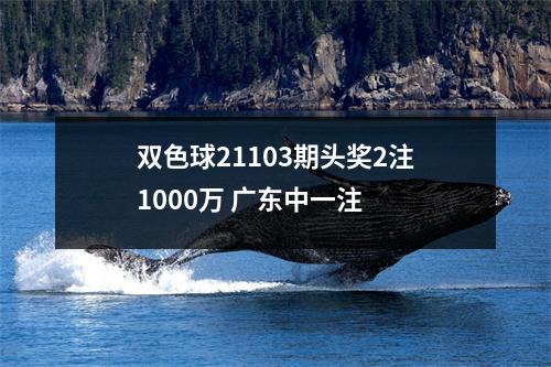 双色球21103期头奖2注1000万 广东中一注