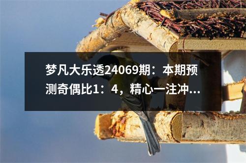 梦凡大乐透24069期：本期预测奇偶比1：4，精心一注冲大奖
