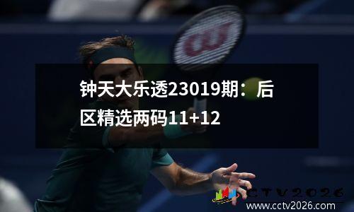 钟天大乐透23019期：后区精选两码11+12