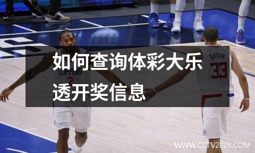 如何查询体彩大乐透开奖信息