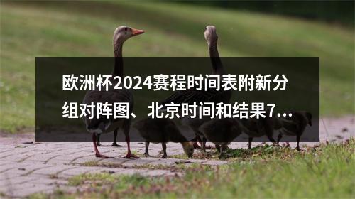 欧洲杯2024赛程时间表附新分组对阵图、北京时间和结果7/2