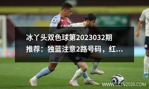 冰丫头双色球第2023032期推荐：独蓝注意2路号码，红胆参考23 33