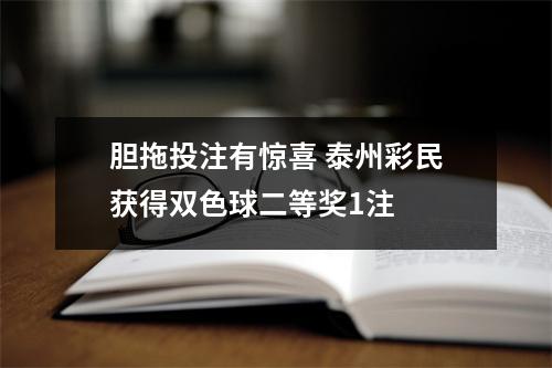 胆拖投注有惊喜 泰州彩民获得双色球二等奖1注