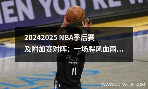 20242025 NBA季后赛及附加赛对阵：一场腥风血雨的篮球盛宴