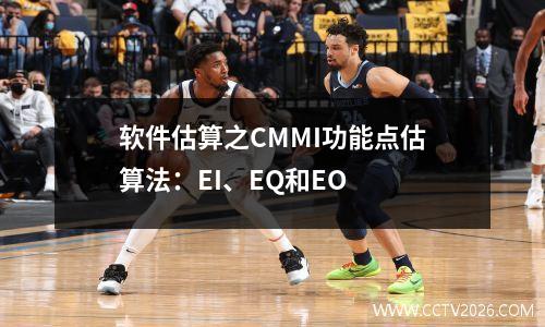 软件估算之CMMI功能点估算法：EI、EQ和EO