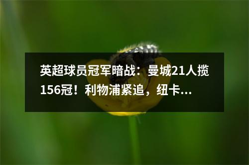 英超球员冠军暗战：曼城21人揽156冠！利物浦紧追，纽卡黑马逆袭
