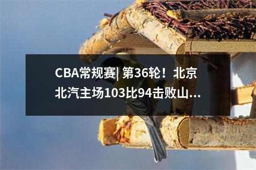 CBA常规赛| 第36轮！北京北汽主场103比94击败山东高速