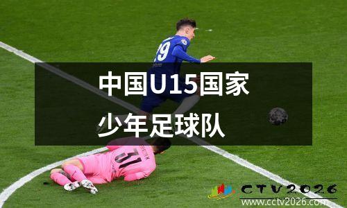 中国U15国家少年足球队