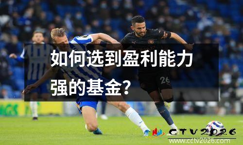 如何选到盈利能力强的基金？