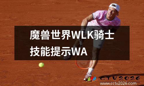魔兽世界WLK骑士技能提示WA