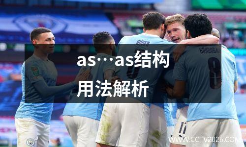 as…as结构用法解析