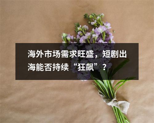 海外市场需求旺盛，短剧出海能否持续“狂飙”？