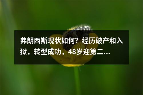 弗朗西斯现状如何？经历破产和入狱，转型成功，48岁迎第二春